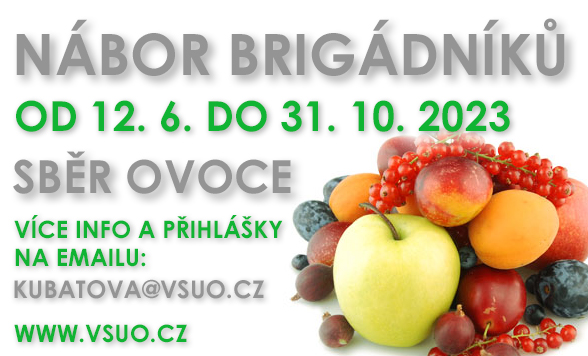 Brigádníci